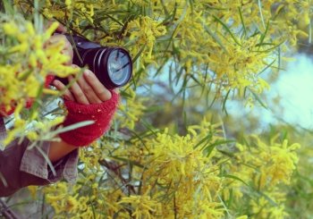 Woman hand with camera take photo on yellow flower background, female photographer with passion in photography