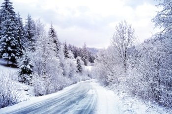 Winding road in snowy forest between mountains. Winding road in snowy forest