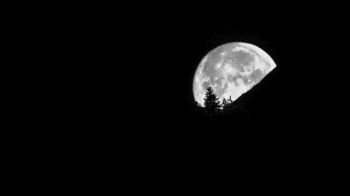A full moon disappears behind a mountain and tree silhouette in a black night sky