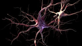 3d rendered illustration of nerve cells. Neurons and nervous system