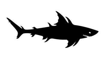 Megalodon, Giant shark, Sea monster, Aquatic mutant, Danger creature of the undersea world.