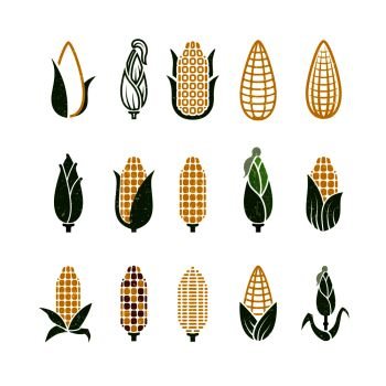 Vintage grunge vector corn icons of set isolated on white background illustration. Vintage grunge vector corn icons isolated on white background