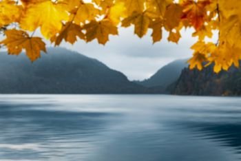 Blurred autumn nature background with yellow leaves as a frame for mountains and blue water lake, near Fussen, Germany. Out of focus fall backdrop.