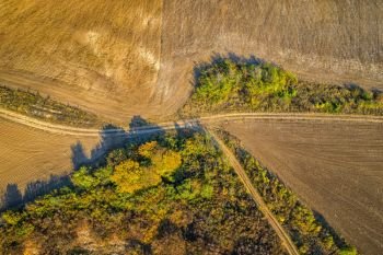 aerial top view from drone  of the country road dividing into among the fields.
