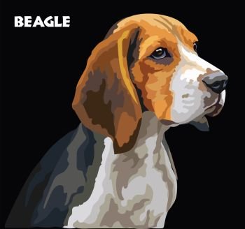 Colorful Beagle vector drawing portrait. Isolated vector illustration on black background. Vector realistic illustration of beagle dog.