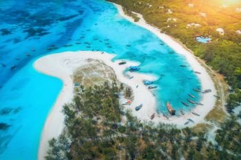 Aerial view of the fishing boats on tropical sea coast with sandy beach at sunset. Summer holiday on Indian Ocean, Zanzibar, Africa. Landscape with boat, green trees, transparent blue water. Top view. Aerial view of the fishing boats on sea coast with sandy beach