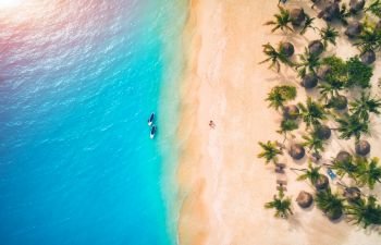 Aerial view of umbrellas, palms on the sandy beach and kayaks in the sea at sunset. Summer holiday in Zanzibar, Africa. Tropical landscape with palm trees, parasols, boat, sand, blue water. Top view. Aerial view of umbrellas, palms on the sandy beach and kayaks