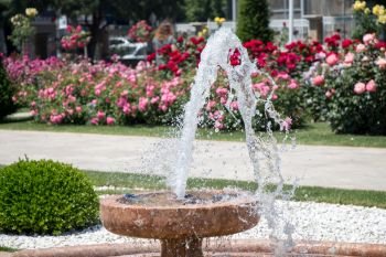 Water gushing off the fountain in the rose garden