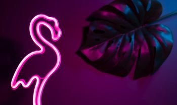 Summer pink flamingo and monstera leaf with neon pink and blue light.vacation background
