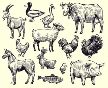 Hand drawn farm animals and birds. Goat, duck and horse, sheep and cow, pig and rooster, rabbit and turkey, chicken and fish, goose isolated sketches vector set. Hand drawn farm animals and birds. Goat, duck and horse, sheep and cow, pig and rooster, rabbit and turkey, chicken and fish, goose vector set