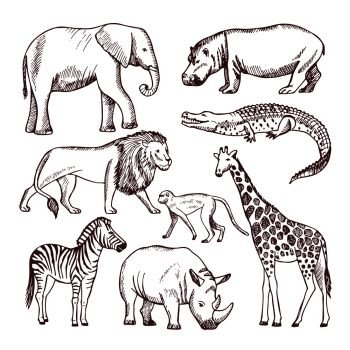 Different animals of savana and africa. Wild safari animals, african nature wildlife. Vector illustration. Different animals of savana and africa