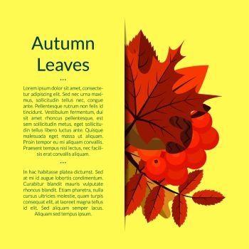 Vector cartoon autumn elements and leaves background with place for text illustration. Vector cartoon autumn elements and leaves background