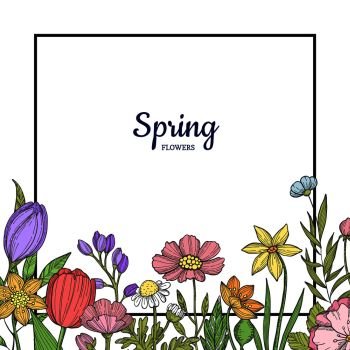 Vector hand drawn flowers background with place for text illustration. Colored spring flora banner. Vector hand drawn flowers background with place for text illustration