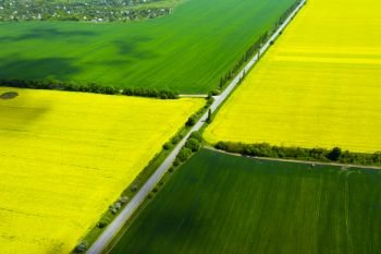 aerial view  yellow blooming rapeseed field and wheat field. beautiful landscape
