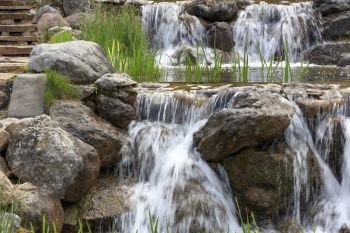 Through a cascade of boulders flowing clear cold water of a mountain river, young shoots of reeds grow along the edges of stone boulders.. Waterfall between stone boulders, landscape design element.