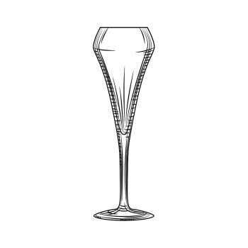 Tulip glass. Sparkling wine glass. Hand drawn empty champagne glass sketch. Engraving style. Vector illustration isolated on white background.. Tulip glass. Sparkling wine glass. Hand drawn empty champagne glass sketch.
