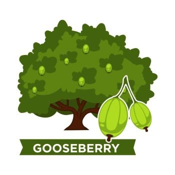Thick gooseberry bush with ripe juicy berries full of vitamins. Plant that produces natural sour fruits. Organic food from farm isolated cartoon flat vector illustration on white background.. Thick gooseberry bush with ripe juicy berries full of vitamins