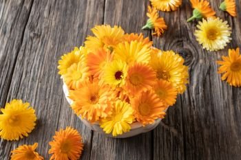 Orange and yellow calendula flowers in a bowl