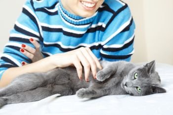 Cat pampering indoors and smiling woman. Shallow depth of field