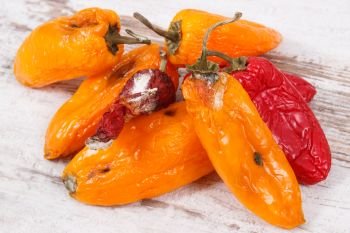 Old wrinkled peppers with mold on old rustic background. Concept of unhealthy and disgusting food. Old peppers with mold on old rustic background. Unhealthy and disgusting food concept