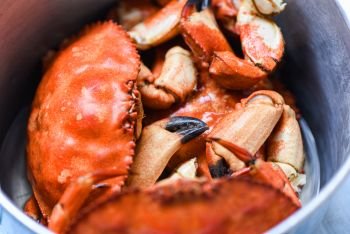 Cooked crab on steamer pot / Seafood boiled red stone crabs