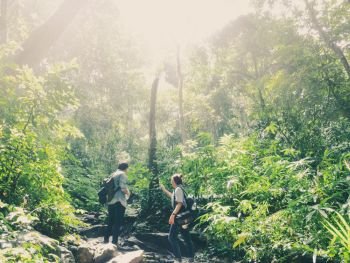 Travel hiking and ecotourism concept from asian couple traveler with backpack exploring the beautiful tropical rainforest and enjoying see nature view with sunlight through trees.