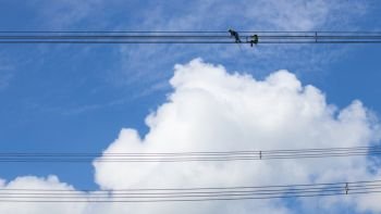 Electrician work installation of high voltage cable in high voltage safely and systematically over and blue sky background.