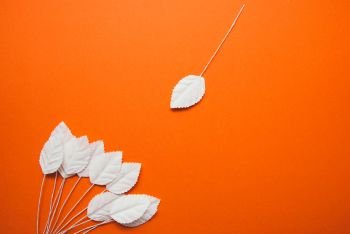Flatlay from simple little white paper leaves on orange background, autumn concept.. Flatlay from simple little white paper leaves on orange background, autumn concept
