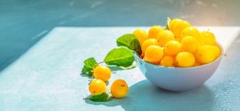 Fresh sweet yellow cherry plums with drops in blue bowl on the blue concrete surface table, selective focus, shallow depth of the fields. Beautiful sun light, image banner format