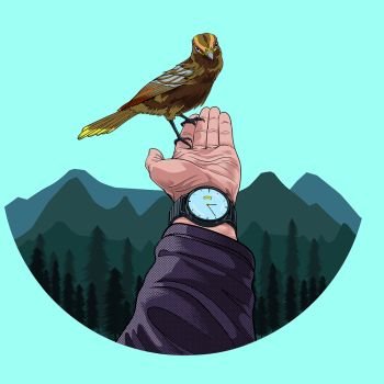Birds are perching in the hands of humans in the natural forest Illustration vector On pop art comic style Nature colorful background 