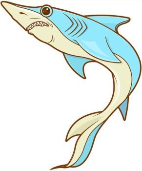 Illustration of cute blue shark