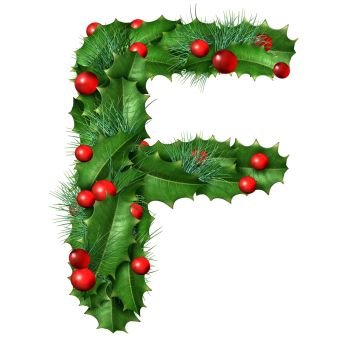 Holiday font letter F as a festive winter season decorated garland as a Christmas  or New Year seasonal alphabet lettering isolated on a white background.