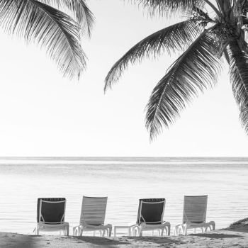 Palmtrees on tropical beach with deckchairs in the sand overlooking the water in stunning black and white