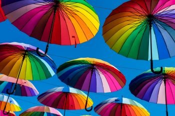 Many colorful umbrellas. Rainbow gay pride protection