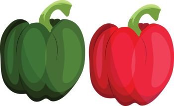 Green and red bellpepper vector illustration of vegetables on white background.