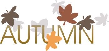 Autumn seasonals postes with autumn leaves .Autumn greetings cards .Vector autumn illustration.