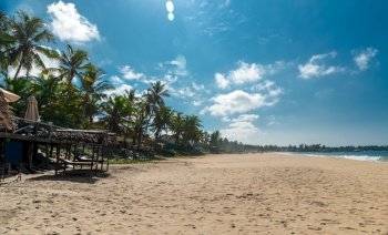 Outdoors cafe on the beach. Beautiful view on sandy coast of tropical beach resort. Gorgeous summer holidays. Sri Lanka.. Beautiful beach landscape of Sri Lanka