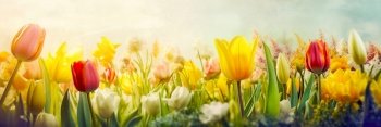 Meadow with blossoming tulips on blurred sky. Floristic decoration. Natural floral background. Created with generative Ai technology.