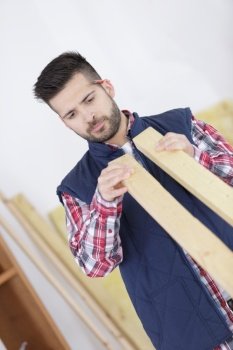 portrait of carpenter choosing wood