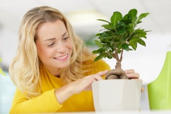 woman florist cutting a bonsai tree with pruning shears