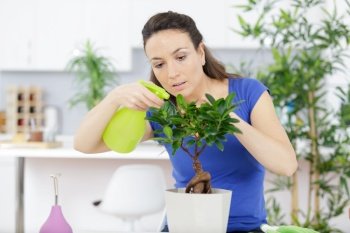 a woman is watering bonsai tree
