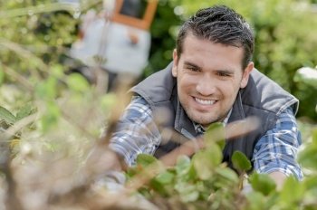 male worker is gardening outdoors