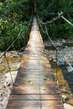 Suspension bridge in tropical jungle