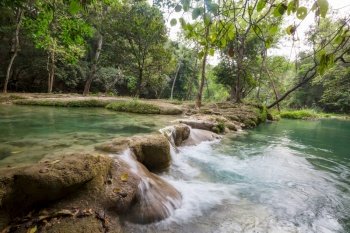Tropical river in the green jungle
