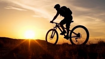 Bicycle and sunset landscapes Illustration Generative AI

