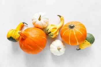 Pumpkins on white background. Autumn, fall, thanksgiving or halloween concept, flat lay, top view, copy space