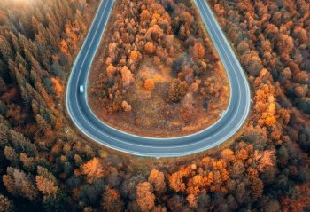 Aerial view of winding road with car in colorful autumn forest at sunset. Top view from drone of mountain road in woods. Beautiful landscape with roadway, trees with orange leaves in fall. Ukraine. Aerial view of winding road with car in colorful autumn forest