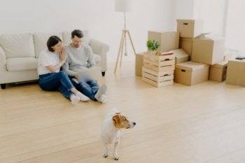 Lovely couple uses laptop together, buy furniture online for new apartment, sit on floor near sofa, carton boxes with personal belongings near, small dog on foreground. Focus on pedigree domestic pet