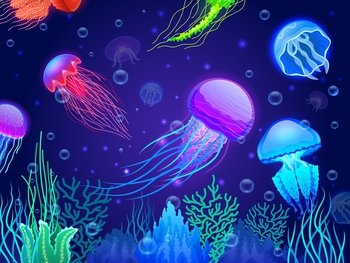 Jellyfish background. Cartoon colorful transparent glowing underwater creatures floating together. Vector colorful poison sea jellyfish animals wallpaper. Fluorescent wild characters among seaweeds. Jellyfish background. Cartoon colorful transparent glowing underwater creatures floating together. Vector colorful poison sea jellyfish animals wallpaper