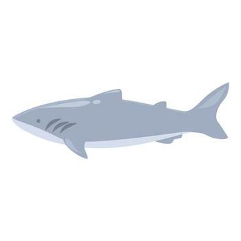 Alaska shark icon cartoon vector. Polar shark. Arctic fish. Alaska shark icon cartoon vector. Polar shark